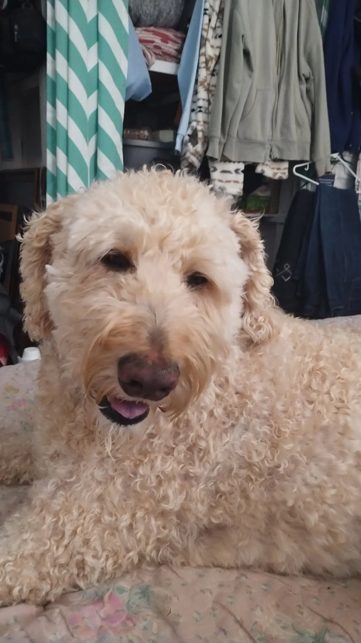 Foto van Jasper